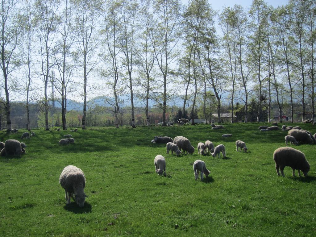 Villa Yorkshire Farm Shintoku Exterior foto