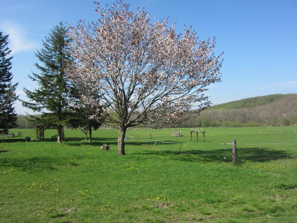 Villa Yorkshire Farm Shintoku Exterior foto