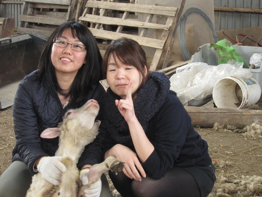 Villa Yorkshire Farm Shintoku Exterior foto